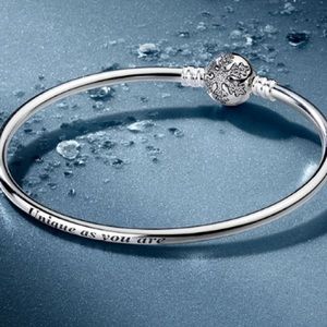 Pandora Winter Edition Bangle
